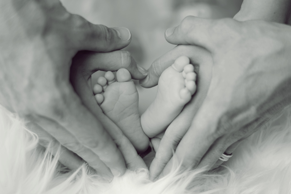 Dossier Colao, focus su famiglia e povertà
